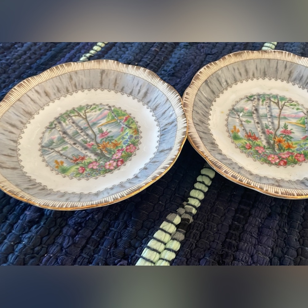Royal Albert Silverbirch saucers (2)